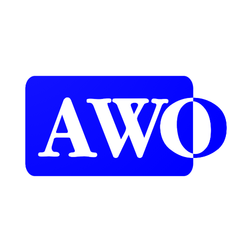 Double Ratchet Spanner (Scaffolding Spanner)